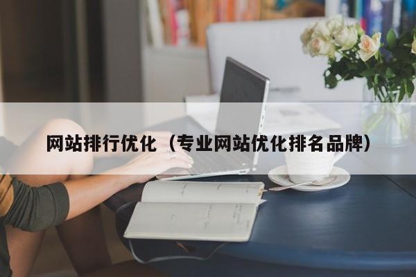 网站排行优化（专业网站优化排名品牌）