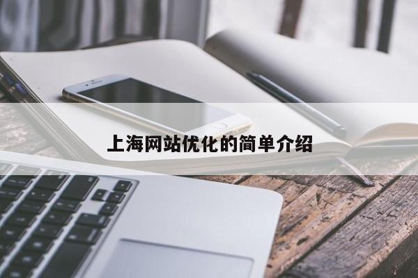 上海网站优化的简单介绍