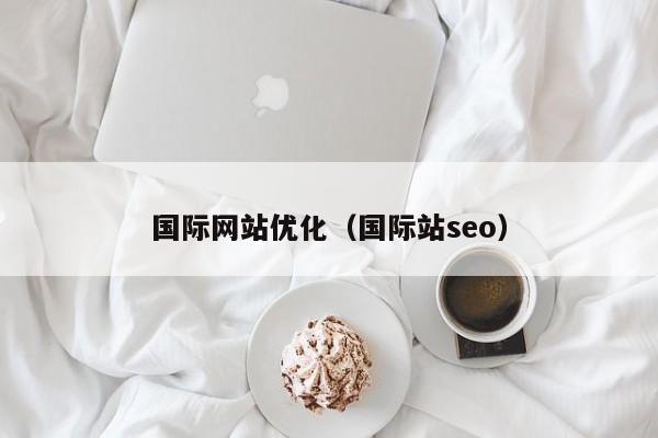 国际网站优化（国际站seo）