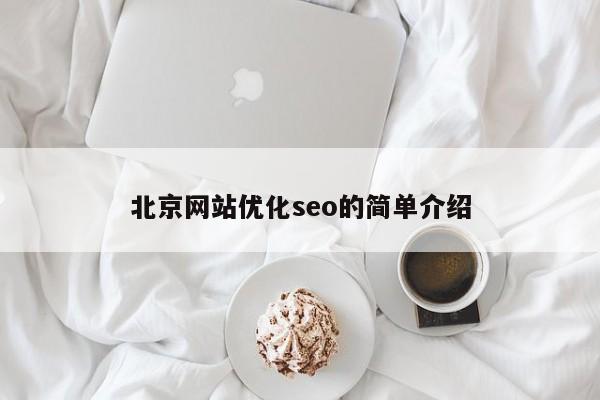 北京网站优化seo的简单介绍