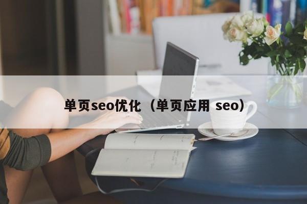 单页seo优化（单页应用 seo）