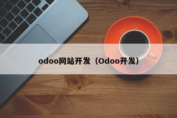 odoo网站开发（Odoo开发）