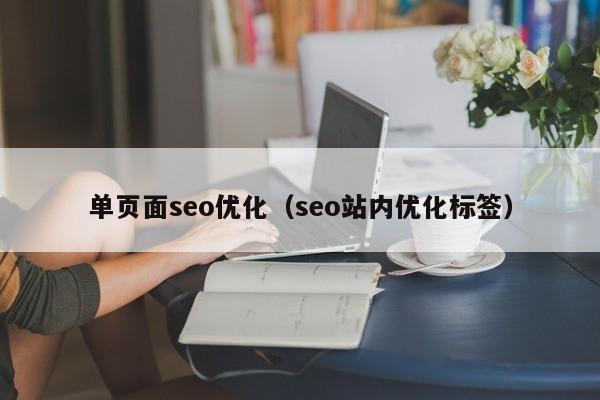 单页面seo优化（seo站内优化标签）