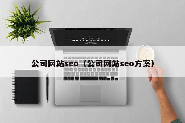 公司网站seo（公司网站seo方案）