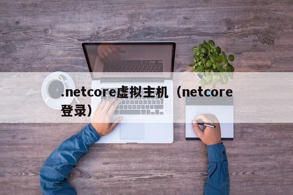 .netcore虚拟主机（netcore登录）