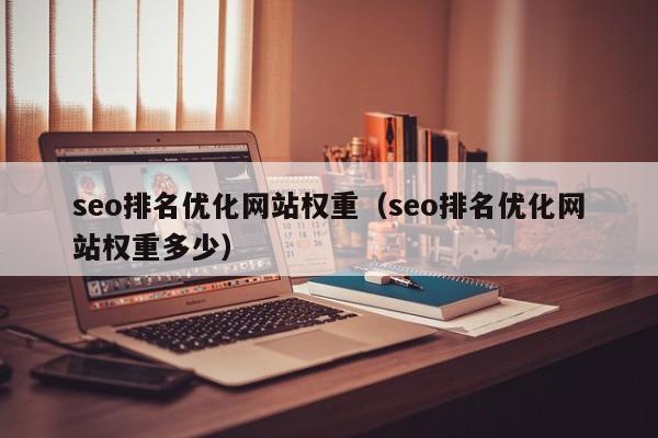 seo排名优化网站权重（seo排名优化网站权重多少）