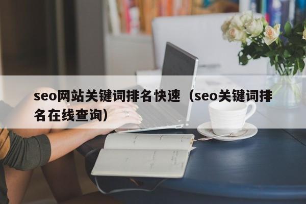 seo网站关键词排名快速（seo关键词排名在线查询）