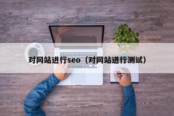 对网站进行seo（对网站进行测试）