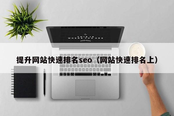 提升网站快速排名seo（网站快速排名上）