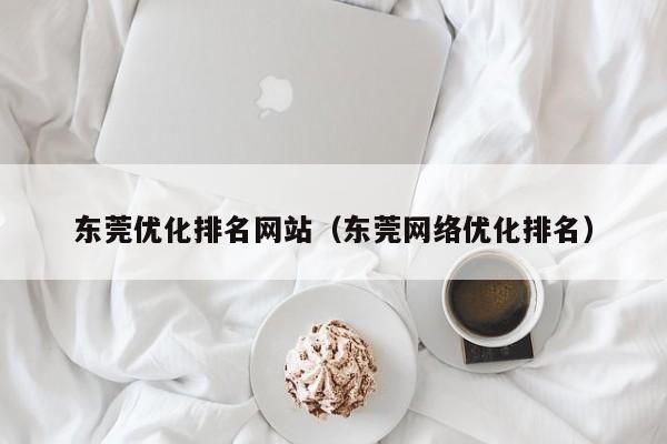 东莞优化排名网站（东莞网络优化排名）