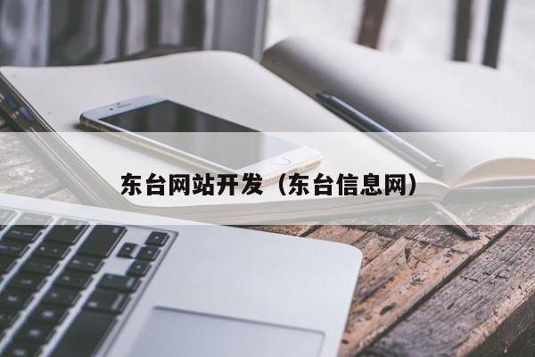 东台网站开发（东台信息网）