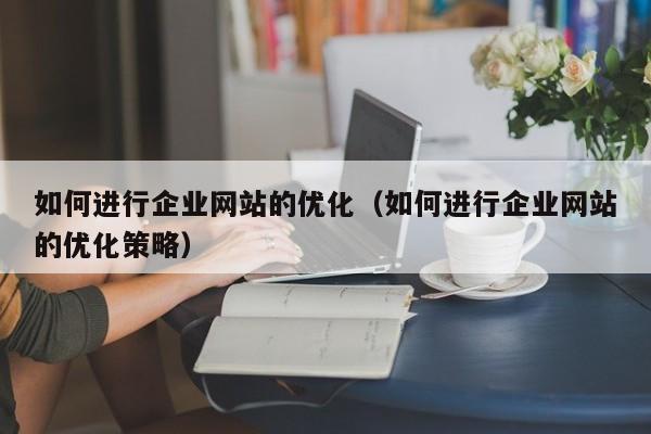 如何进行企业网站的优化（如何进行企业网站的优化策略）