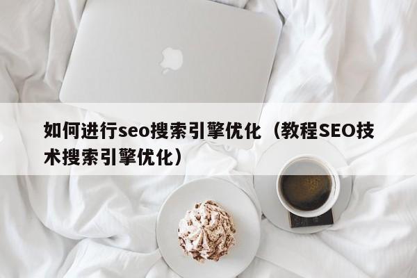 如何进行seo搜索引擎优化（教程SEO技术搜索引擎优化）