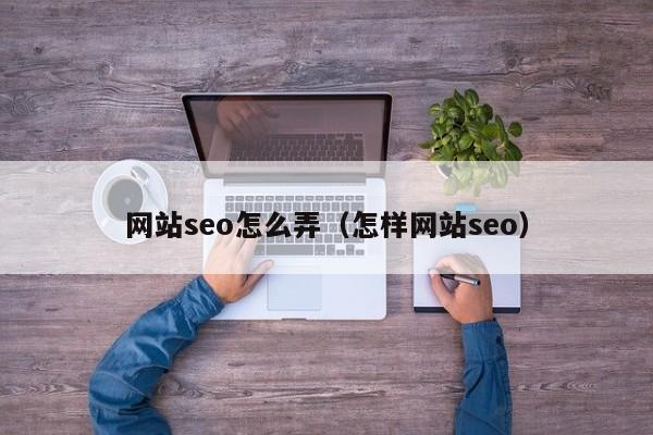 网站seo怎么弄（怎样网站seo）