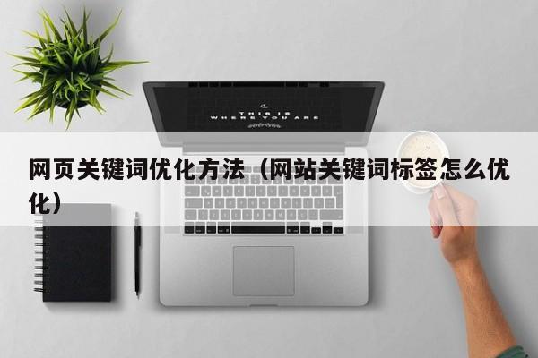 网页关键词优化方法（网站关键词标签怎么优化）