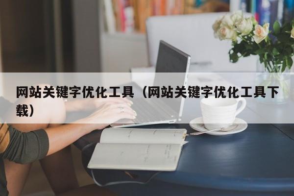 网站关键字优化工具（网站关键字优化工具下载）