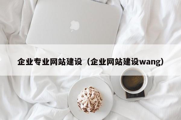 企业专业网站建设（企业网站建设wang）