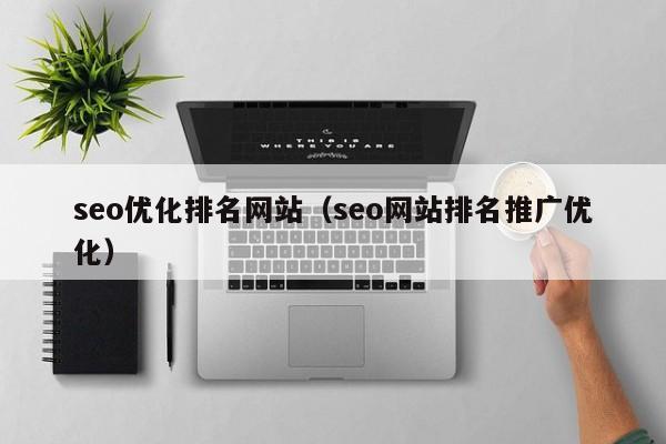 seo优化排名网站（seo网站排名推广优化）